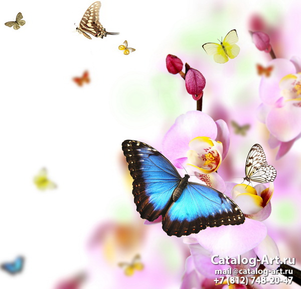  Butterflies 7